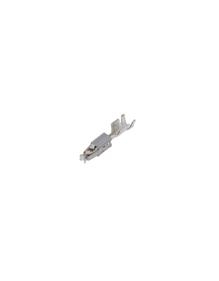 965999-2/C