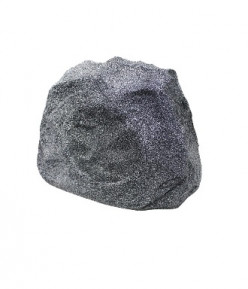 ROCK6