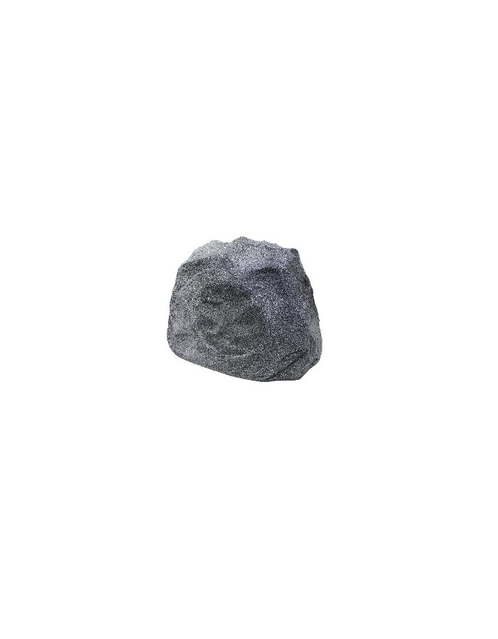 ROCK6