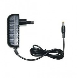PS SECURITY 12V-2A