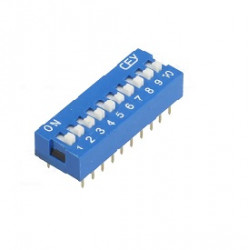 DS-10