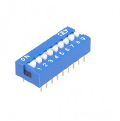 DS-09