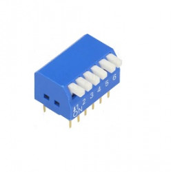 DP-06